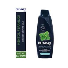 BLENDAX MEN MENTOL FERAHLIĞI 500 ML 